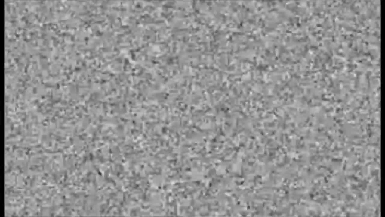 try not to LAUGH level EXTREME :D