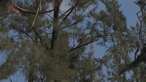 Basketball player dribbling then dunking