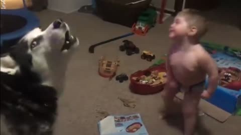 child fun with dog