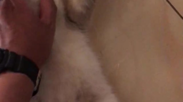 Funny cat for your day