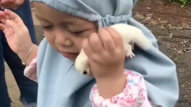 sugar glider and baby