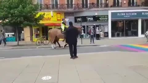 Clever Horses!