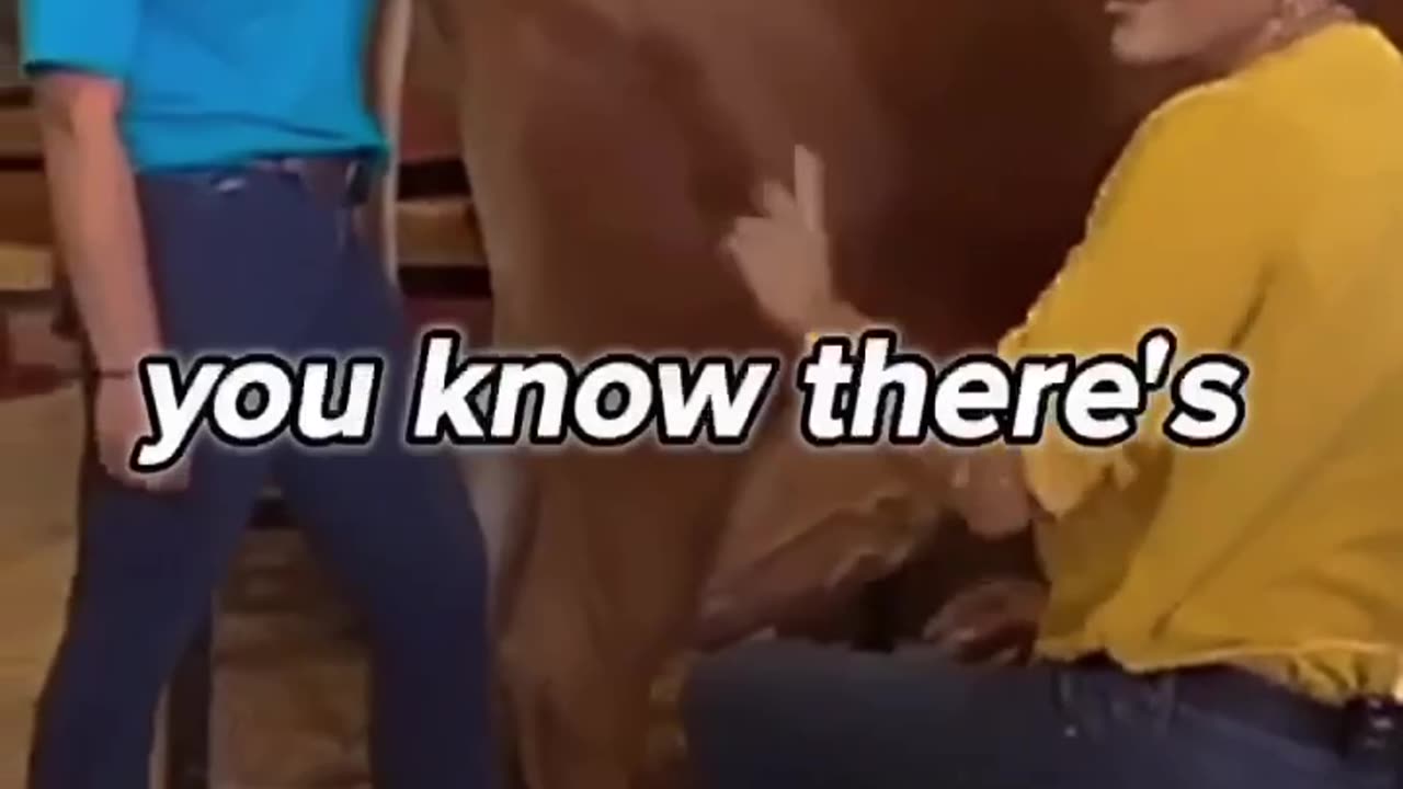 There are only 2