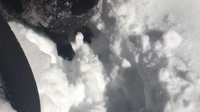 Bunny Snow Day