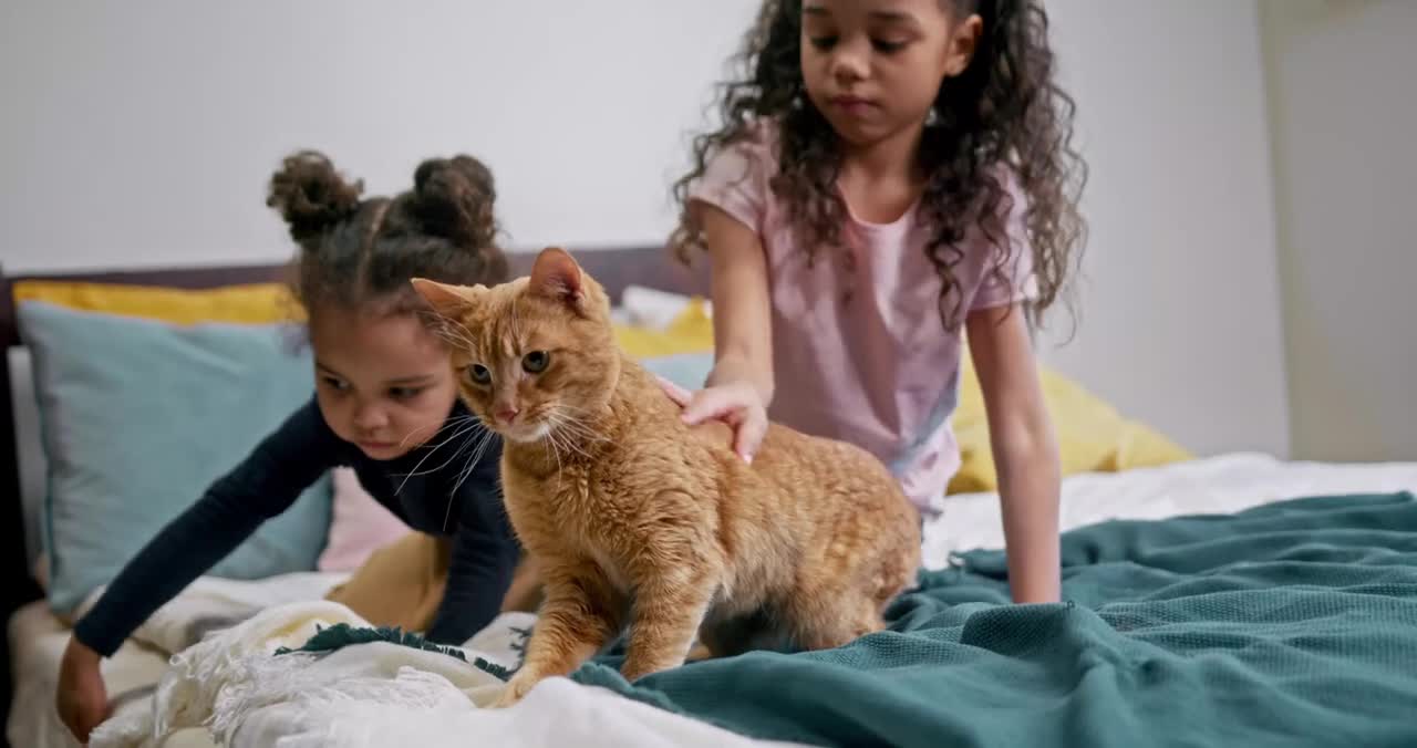 Kids VS Cat Funny video