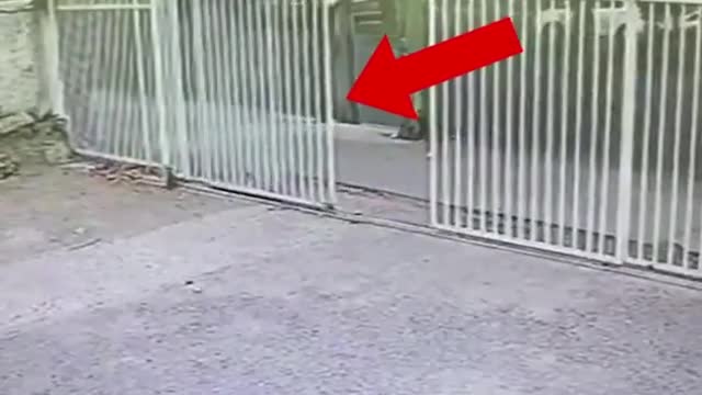Scary and terrifying Videos on the internet