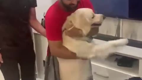 #Animalslove Dog welcome baby-Very happy moments