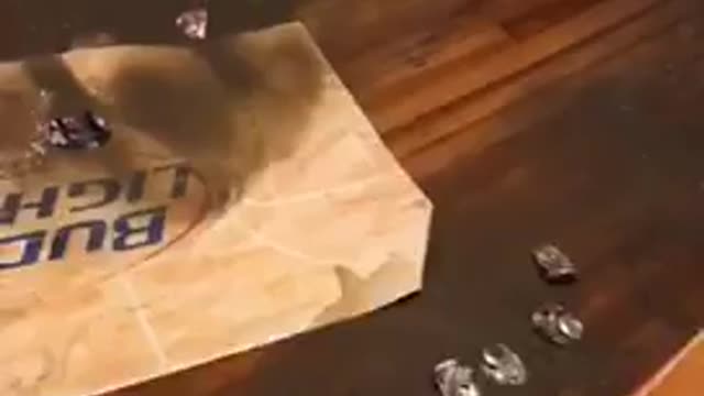 Nsfw guy dives on wet dirty floor trough bud light banner in house