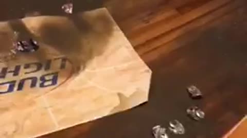 Nsfw guy dives on wet dirty floor trough bud light banner in house