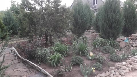 Garden plot in spring