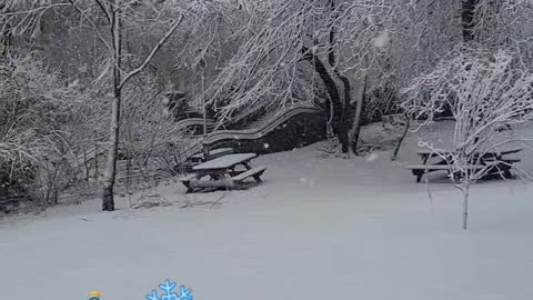 New York Christmas Holiday Snow