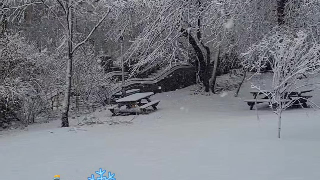 New York Christmas Holiday Snow