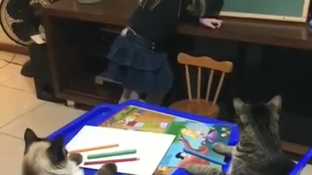 Little girl teaching her cats how to draw a flower.