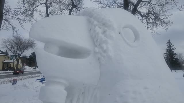 great detail!!