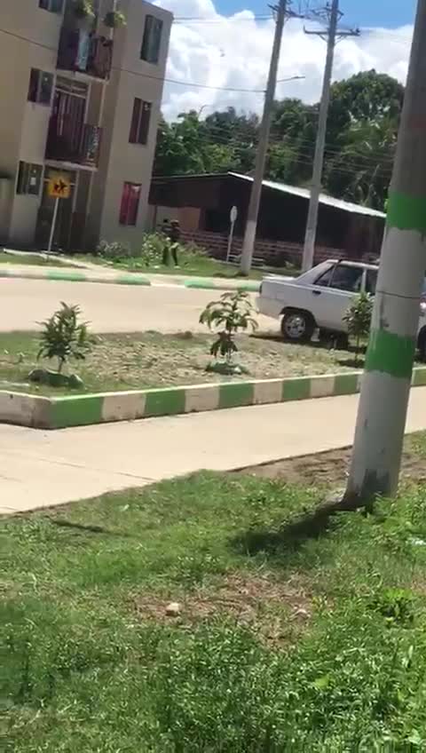 Video: Graban enfrentamientos entre Ejército y Eln en conjunto residencial de Arauca
