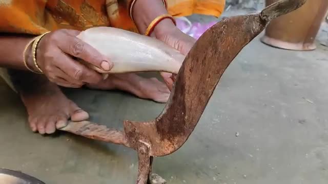 River FOLI FISH cooking recipe with fresh MULO & BEGUN by santali TRIBE couple-4