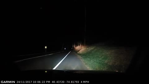 Car Runs Over Deceased Deer