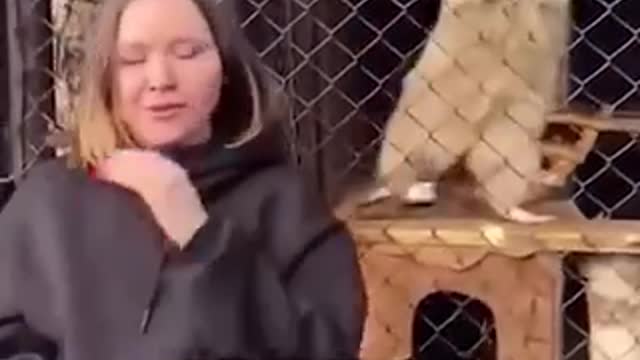探亲之旅 认祖归宗 笑到不行🤣🤣