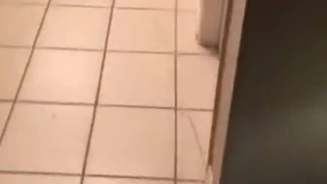 Infinite mechanism