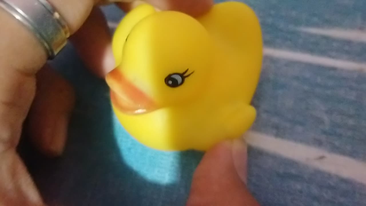 duck toy