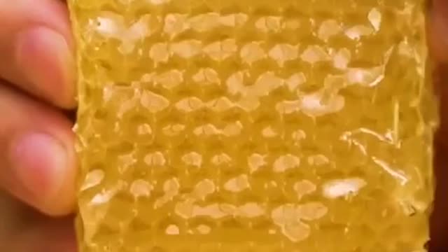 Honey Honey
