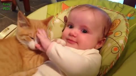 cute babies and cats