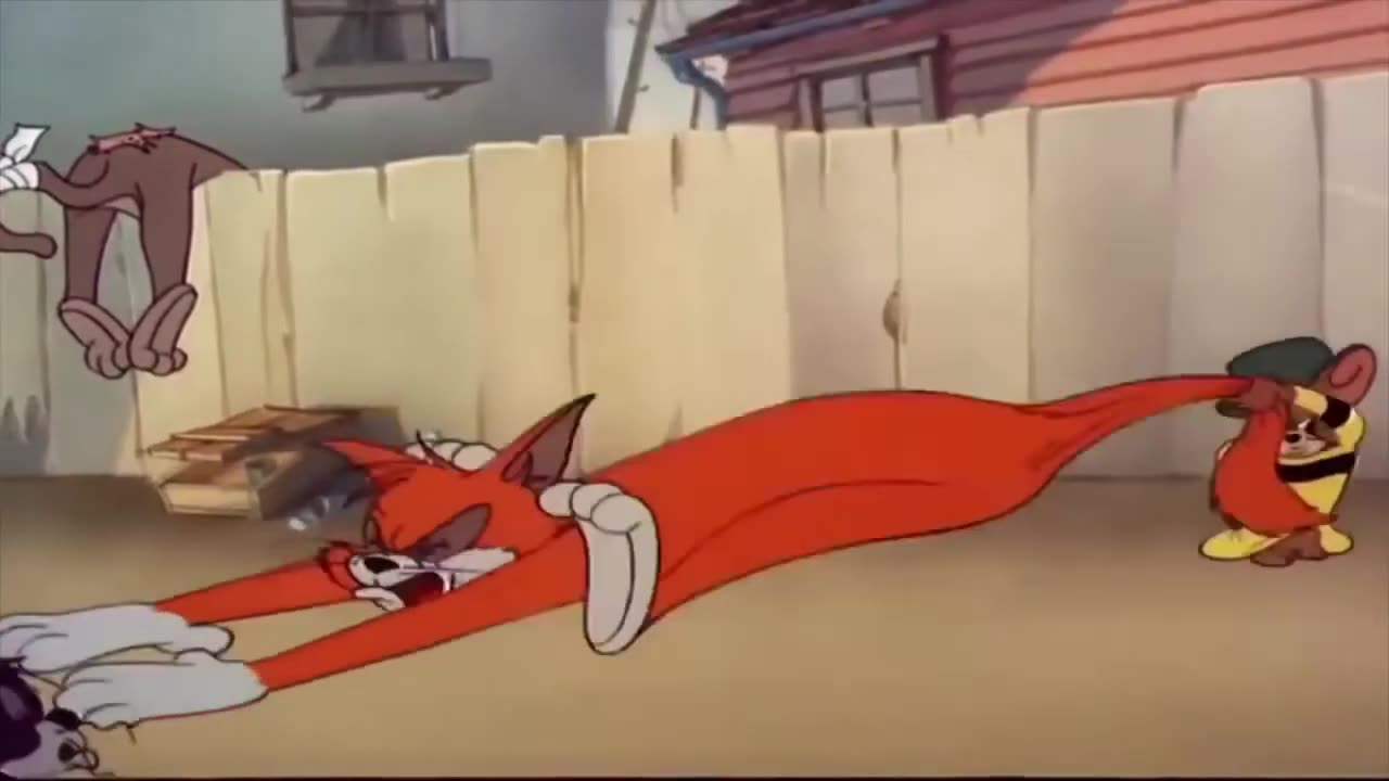 tom amd jerry