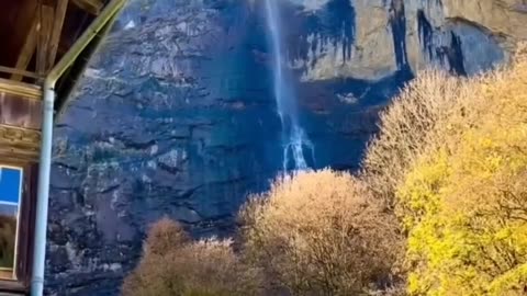 They look like not real. #nature #viralvideo