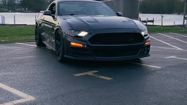 The ford mustang