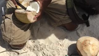 Coconut peel