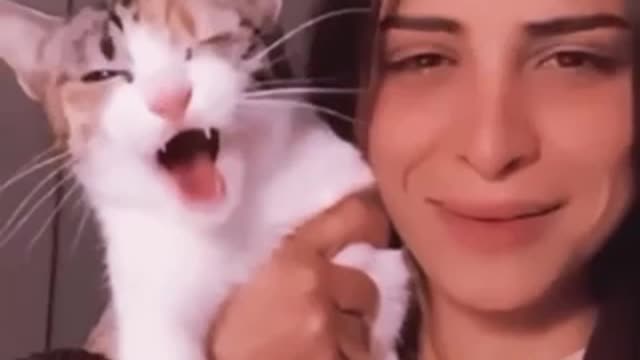 Cat 🐈 very engry