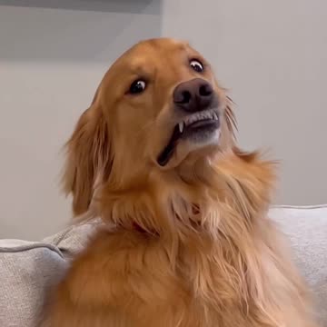 This is a daily occurrence in our household .