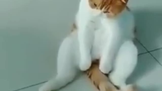 🤭انظر ماذا تفعل