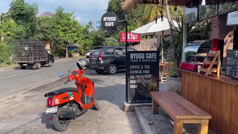 AROUND BALI ON A MOTORBIKE 🇮🇩 Swimming with wild TURTLES is a dream!