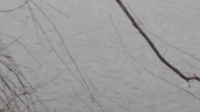 Current view Feb 19th 1:45pm EST crazy windy snow