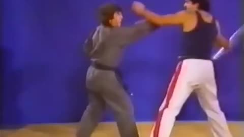 Hapkido Cane Techniques
