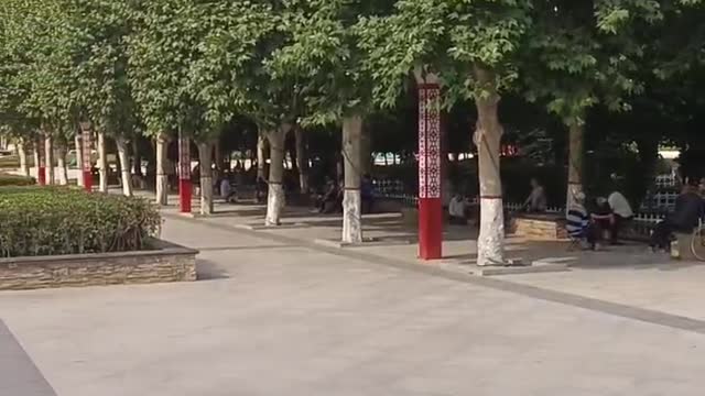 How about the garden as a whole, does it look good?