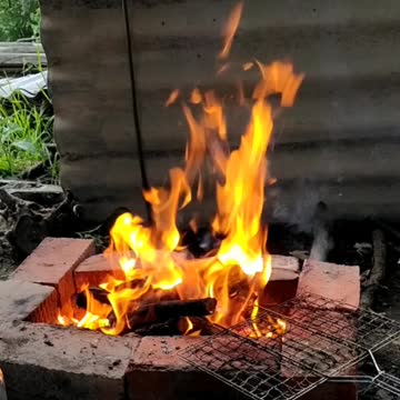 Bonfire, barbecue, rest