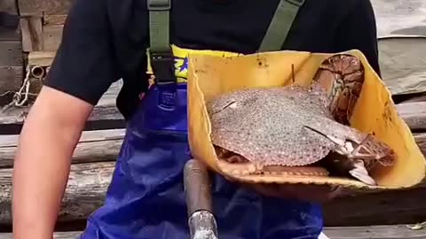 Food like Hilarious