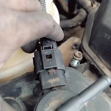 funny|prank|jokes|funny jokes|dad jokes|funny memes|funny video|fun|laughing|funny animal|knock