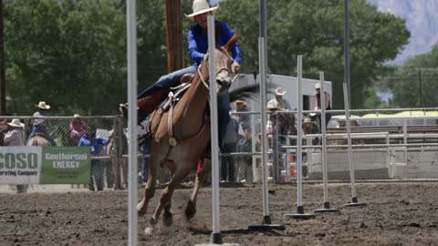 Mule Days Bishop CA