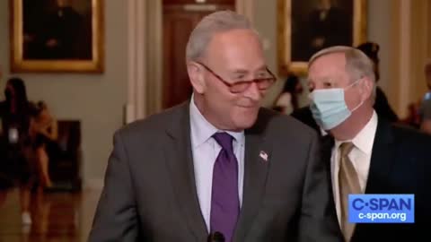 Schumer Sneezes All Over The Place After Refusing To Wear Mask