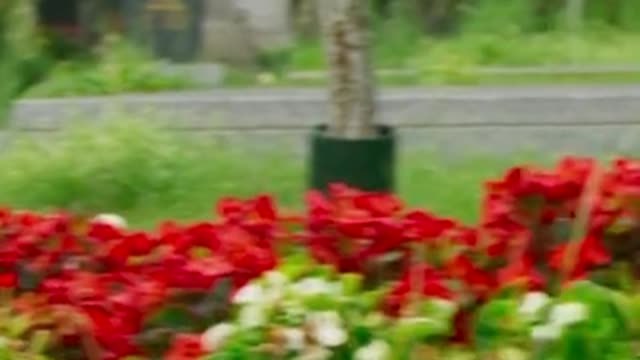 The cutest animal ever?