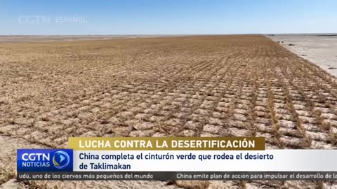 China completa el cinturón verde que rodea el desierto de Taklimakan