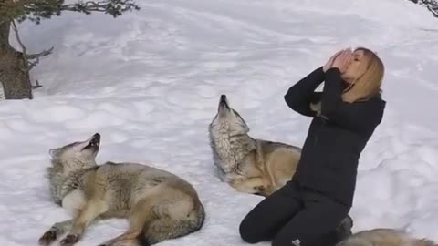 Very funny wolf video and cute girl voise