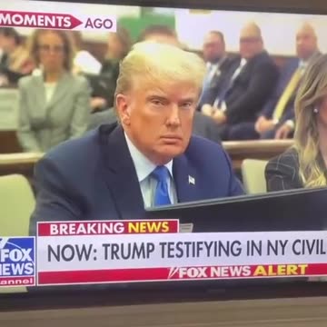 Handsome Donald in the Kangaroo Court