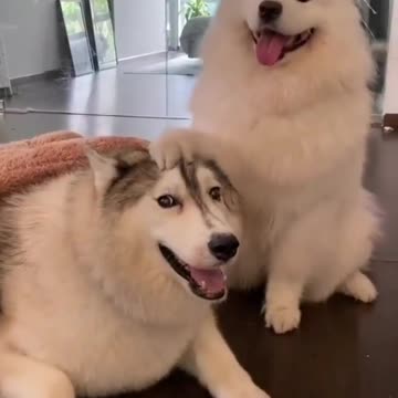 Could you take us a photo, just he and I