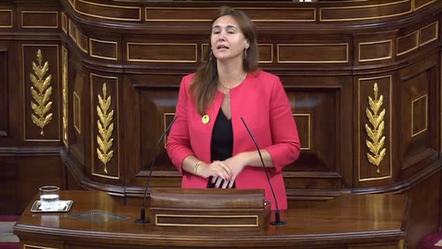 La diputada independentista Castanyer: "Sánchez es un político preso"