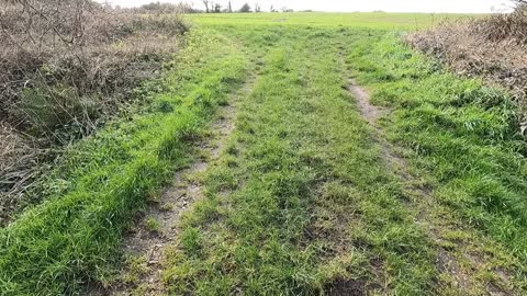 Let's have look her thi path leads. Vlog
