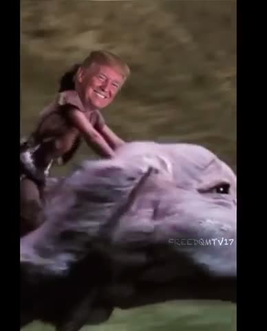 Normies still think a bird crapped on Biden inside 😆